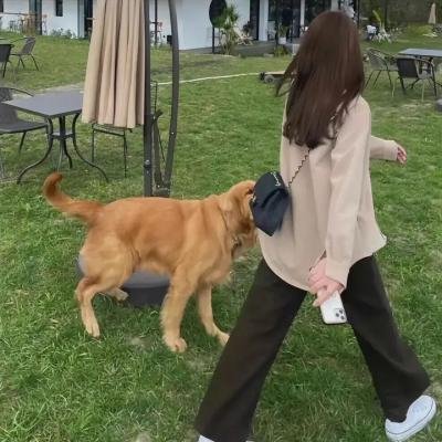 亲爱的药王大人第二季