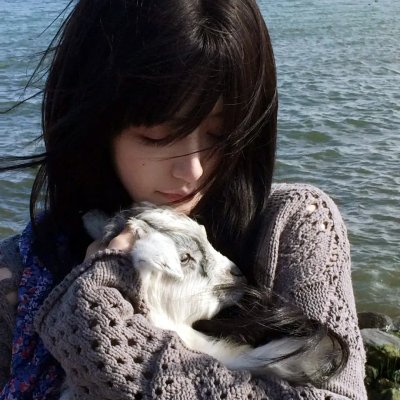 囧妈的极地任务